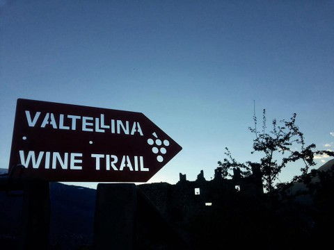 Valtellina Wine Trail 2018, le classifiche Valtellina Wine Trail 2018, le classifiche