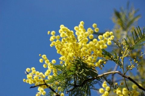 Festa della donna 2018 in Valtellina, 4 proposte per un 8 marzo alternativo Festa della donna 2018 in Valtellina, 4 proposte per un 8 marzo alternativo