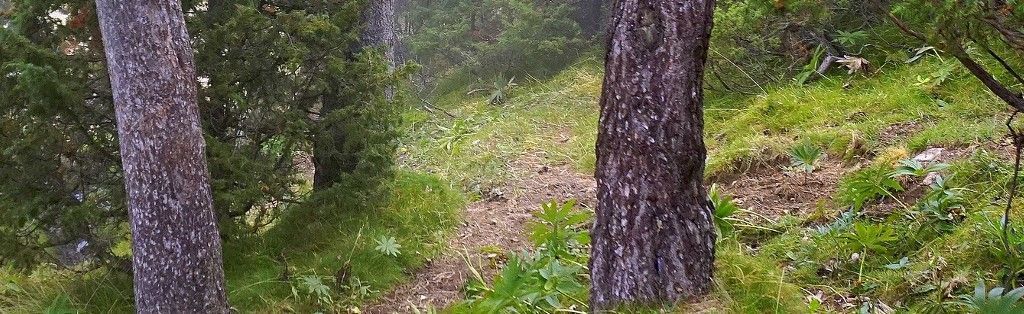 Trekking e camminate