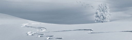Gare ed eventi sulla neve