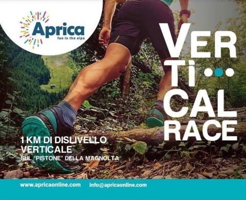 Aprica Vertical Race