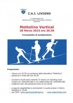 Mottolino Vertical
