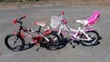 MTB Bambini 4/5 anni - Giornata intera MTB Bambini 4/5 anni - Giornata intera
