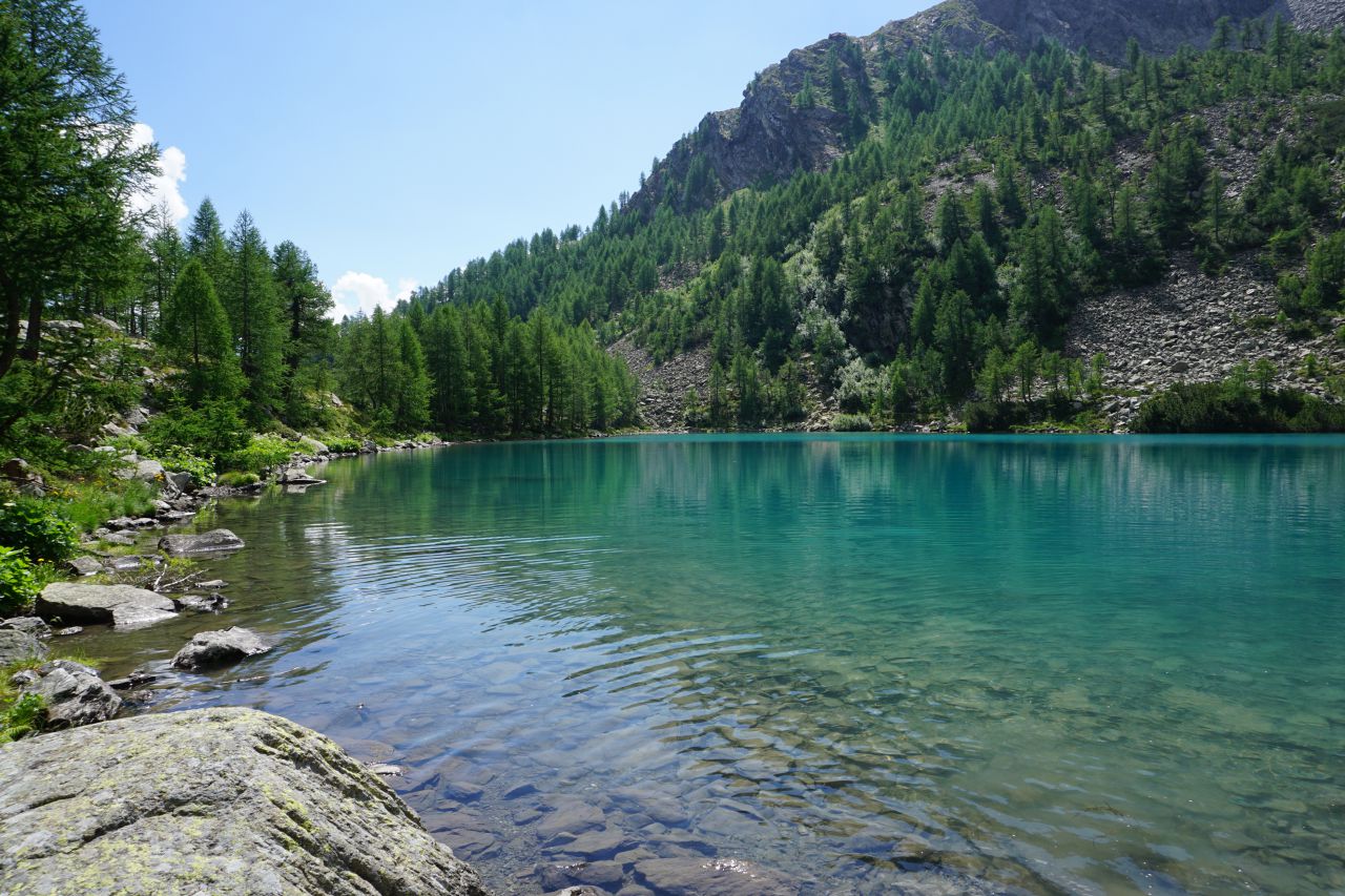 LAGAZZUOLO 1