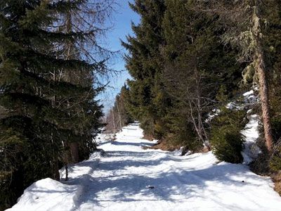 Ciaspolate Rifugio Luna Nascente